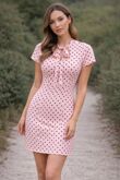 Short Sleeve With Bow Tie Neck Retro Polka Dot Mini Dress