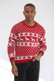 Red Snow Flake And Reindeer Christmas Jumper