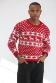 Red Snow Flake And Reindeer Christmas Jumper