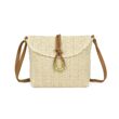 Straw Crossbody Bag