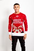 Red Pom Reindeer Merry Christmas Jumper 