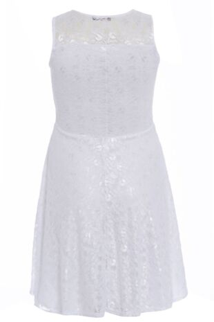 Plus Size White Sleeveless Floral Lace Skater Dress