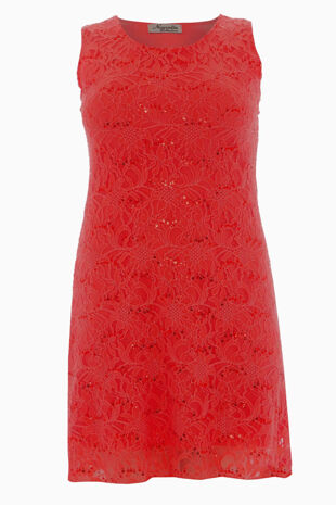 Plus Size Red Sleeveless Lace Sequin Evening Swing Dress