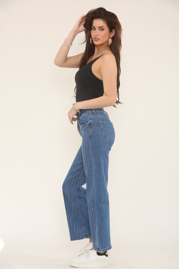 Blue Wide Leg Studded Stripe Jeans