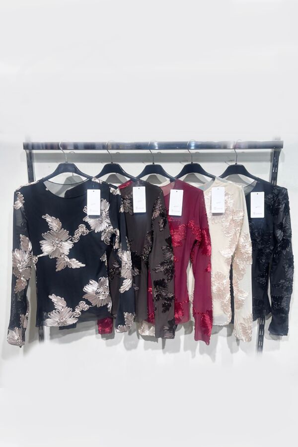 Long Sleeve Mesh Floral Applique Top