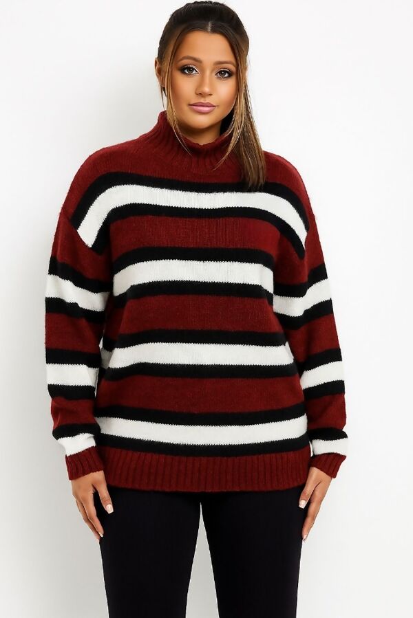Contrast Striped Knit Turtleneck Sweater