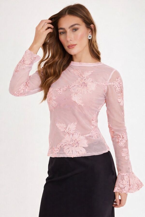 Long Sleeve Mesh Floral Applique Top